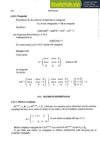ALGEBRA II Armando Rojo.pdf