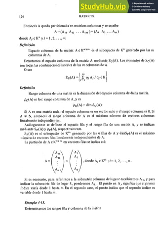 ALGEBRA II Armando Rojo.pdf