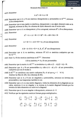 ALGEBRA II Armando Rojo.pdf