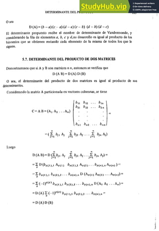 ALGEBRA II Armando Rojo.pdf