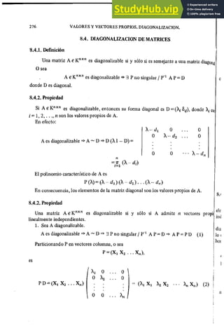 ALGEBRA II Armando Rojo.pdf