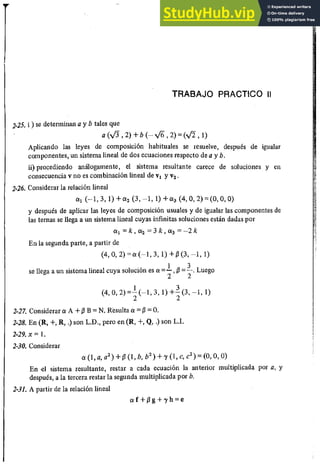 ALGEBRA II Armando Rojo.pdf