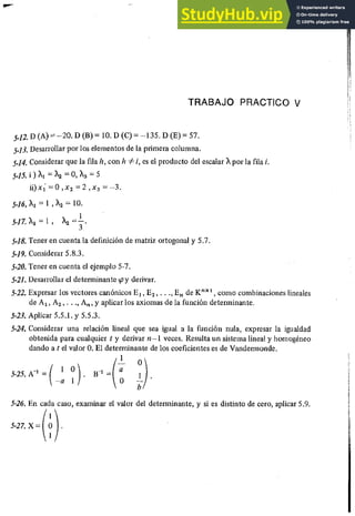 ALGEBRA II Armando Rojo.pdf
