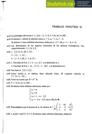 ALGEBRA II Armando Rojo.pdf