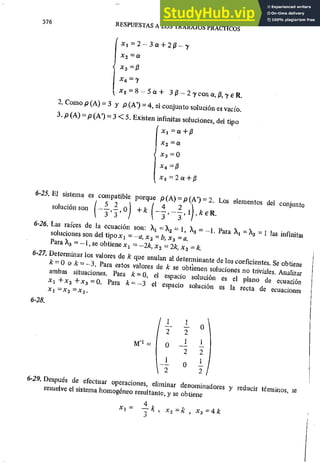 ALGEBRA II Armando Rojo.pdf