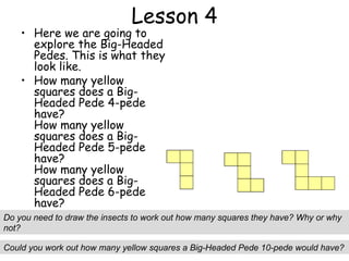 Lesson 4
    • Here we are going to
      explore the Big-Headed
      Pedes. This is what they
      look like.
    • How many yellow
      squares does a Big-
      Headed Pede 4-pede
      have?
      How many yellow
      squares does a Big-
      Headed Pede 5-pede
      have?
      How many yellow
      squares does a Big-
      Headed Pede 6-pede
      have?
Do you need to draw the insects to work out how many squares they have? Why or why
not?

Could you work out how many yellow squares a Big-Headed Pede 10-pede would have?
 