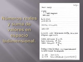 Números reales y suma de valores en espacio bidimensional. 