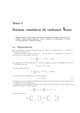 Tema 4

Formas can´nicas de endomorﬁsmos
          o

      Diagonalizaci´n. Autovectores y autovalores. Subespacios invariantes. Ecuaci´n carac-
                   o                                                              o
      ter´
         ıstica. Endomorﬁsmos nilpotentes. Formas can´nicas de endomorﬁsmos. Teorema
                                                       o
      de Cayley-Hamilton. Polinomio m´ ınimo




4.1     Diagonalizaci´n
                     o
Sea V un IK-espacio vectorial de dimensi´n ﬁnita, IK = IR,C. Un endomorﬁsmo de V , f ∈ End(V ) es
                                           o
una aplicaci´n lineal de V en V .
            o
   Sabemos que dada un base de V , B = {u1 , . . . , un }, se asocia a un endomorﬁsmo f una matriz A,
construida de la forma siguiente (ver 3.3.1):
                                                  n
                                 f (ui ) =            aji uj ,    A = (aij ) = A(f, B)
                                                j=1

Las columnas de A son las coordenadas de los vectores im´genes de la base B, expresadas en esta base.
                                                        a
   Si cambiamos de base:
                                      B = {ui } −→ B = {ui }
con matriz cambio de base P :
                                            n
                                 ui =           Pji uj ,     P = (Pij ),          det P = 0,
                                        j=1

la matriz A cambia a una matriz A = M (f, B ) dada por:
                                                        A = P AP −1 .                                   (4.1)
La f´rmula anterior corresponde a la f´rmula (3.9) cuando la aplicamos al mismo cambio de bases tanto
    o                                 o
en el dominio como en el rango de f.
   N´tese que si ambas bases est´n referidas a una tercera (como por ejemplo, en el caso de IRn , con las
      o                          a
bases B y B escritas en la base can´nica):
                                   o
                                        n                             n
                                ui =         qji ej ,      ui =           qji ej , j = 1, . . . , n
                                       j=1                        j=1

se tienen dos matrices:
                                                                                                 
                              q11           ···       q1n              q11               ···    q1n
                             .                        . ,           .                         . ,
                          Q= ..                       . 
                                                       .          Q = ..                        . 
                                                                                                 .
                             qn1            ···       qnn             qn1                ···    qnn

                                                                 71
 