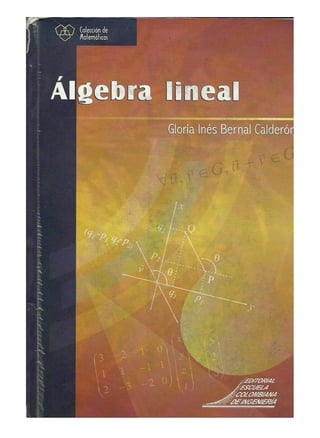 Algebra lineal gloria inés