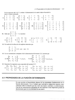 2.3 Propiedades de la función determinante I’ 121 
En los ejercicios del 4 al 11, evalmr el determinante de la matriz dada refiuciendo la 
matriz a forma escalonada. 
4. [ -.; y -;] 5. [I 1 21 6. [-: -; 11 7. 3 6 -9 o 3 1 1 - 3 [-3 :- 6 i -!] 
3 2 4 
3a 36 3c a+g b+h c + i 
13. Por medio de la reducción de renglones demostrar que 
ik; 1 :2 i2i = (b - u)(c - a)(c - b) 
14. Con un razonamiento semejante al de la demostración del teorema 2.2.2, mostrar que 
1::; 15. Demostrar los siguientes casos especiales Y:l/ del teorema2 .2.3. 
k a t 2 &I3 1:; ‘12 u13 a22 -111: a12 
a) all/ = k l : : : a22 b) aI2 = az2 
‘31 ‘32 a33 ‘31 ‘32 u33 ‘31 a32 ‘33 a31 ‘32 ‘33 
2.3 PROPIEDADES DE LA FUNCIÓN DETERMINANTE 
En esta sección se desarrollarán algunas de las propiedades fundamentales de la 
función determinante. Con el trabajo aquí realizado se adquirirán mayores cono-cimientos 
sobre la relación que hay entre una matriz cuadrada y su determinante. 
Una de las consecuencias inmediatas de este material es una importante prueba de 
determinante para la invertibilidad de una matriz. 
 