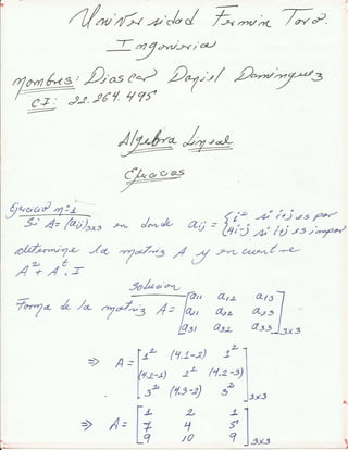 Algebra lineal  dioscar  dominguez