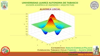 -4
-3
-2
-1
0
1
2
3
4
-4
-2
0
2
4
-0.4
-0.3
-0.2
-0.1
0
0.1
0.2
0.3
0.4
X
Y
Z
UNIVERSIDAD JUAREZ AUTONOMA DE TABASCO
DIVISIÓN ACADÉMICA DE INGENIERÍA Y ARQUITECTURA
ALGEBRA LINEAL
Catedrático: Adolfo Cornelio Palacio
Cunduacán, Tabasco: Ciclo: Febrero – Agosto 2020
Contacto: E-mail: copal69.acp@gmail.com
Celular: 9932 10 6744
 