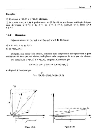 Álgebra linear e geometria analítica 2ª edição