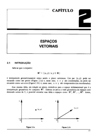 Álgebra linear e geometria analítica 2ª edição