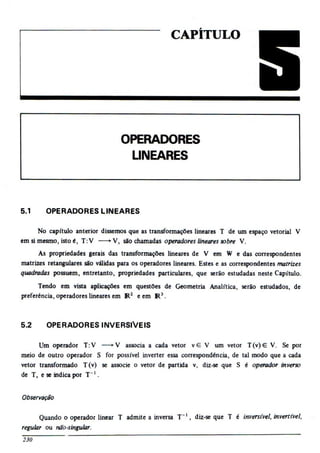 Álgebra linear e geometria analítica 2ª edição