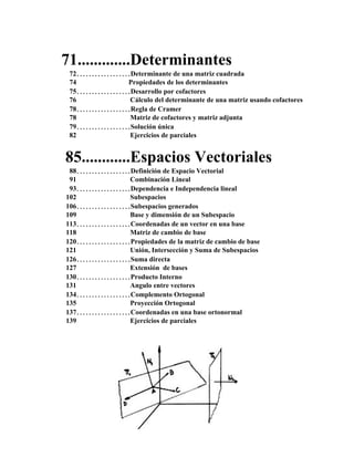 71.............Determinantes
72..................Determinante de una matriz cuadrada
74 Propiedades de los determinantes
75..................Desarrollo por cofactores
76 Cálculo del determinante de una matriz usando cofactores
78..................Regla de Cramer
78 Matriz de cofactores y matriz adjunta
79..................Solución única
82 Ejercicios de parciales
85............Espacios Vectoriales
88..................Definición de Espacio Vectorial
91 Combinación Lineal
93..................Dependencia e Independencia lineal
102 Subespacios
106..................Subespacios generados
109 Base y dimensión de un Subespacio
113..................Coordenadas de un vector en una base
118 Matriz de cambio de base
120..................Propiedades de la matriz de cambio de base
121 Unión, Intersección y Suma de Subespacios
126..................Suma directa
127 Extensión de bases
130..................Producto Interno
131 Angulo entre vectores
134..................Complemento Ortogonal
135 Proyección Ortogonal
137..................Coordenadas en una base ortonormal
139 Ejercicios de parciales
 