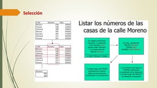 Selección
 
