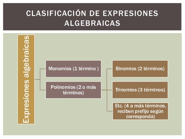 Clasificación de números y de expresiones algebraicas