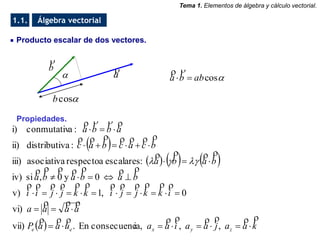 Algebra vectorial