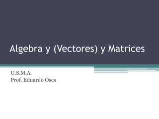 Algebra y (Vectores) y Matrices U.S.M.A. Prof. Eduardo Oses 