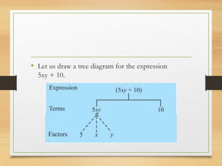 • Let us draw a tree diagram for the expression
5xy + 10.
 