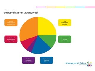 Voorbeeld van een groepsprofiel 