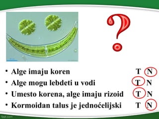 • Alge imaju koren T N
• Alge mogu lebdeti u vodi T N
• Umesto korena, alge imaju rizoid T N
• Kormoidan talus je jednoćelijski T N
 