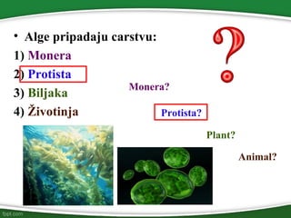 • Alge pripadaju carstvu:
1) Monera
2) Protista
3) Biljaka
4) Životinja
Monera?
Protista?
Plant?
Animal?
 
