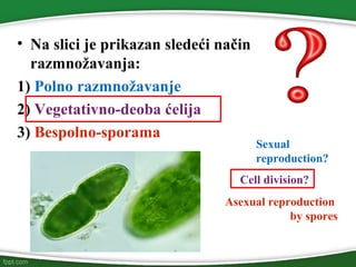 • Na slici je prikazan sledeći način
razmnožavanja:
1) Polno razmnožavanje
2) Vegetativno-deoba ćelija
3) Bespolno-sporama
Cell division?
Sexual
reproduction?
Asexual reproduction
by spores
 