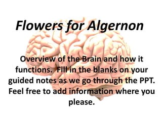 Flowers for Algernon 
Overview of the Brain and how it 
functions. Fill in the blanks on your 
guided notes as we go through the PPT. 
Feel free to add information where you 
please. 
 