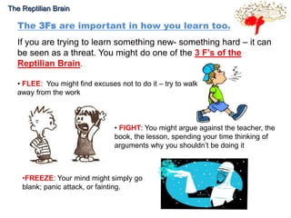 The Reptilian Brain 
The 3Fs are important in how you learn too. 
If you are trying to learn something new- something hard – it can 
be seen as a threat. You might do one of the 3 F’s of the 
Reptilian Brain. 
• FLEE: You might find excuses not to do it – try to walk 
away from the work 
• FIGHT: You might argue against the teacher, the 
book, the lesson, spending your time thinking of 
arguments why you shouldn’t be doing it 
•FREEZE: Your mind might simply go 
blank; panic attack, or fainting. 
 