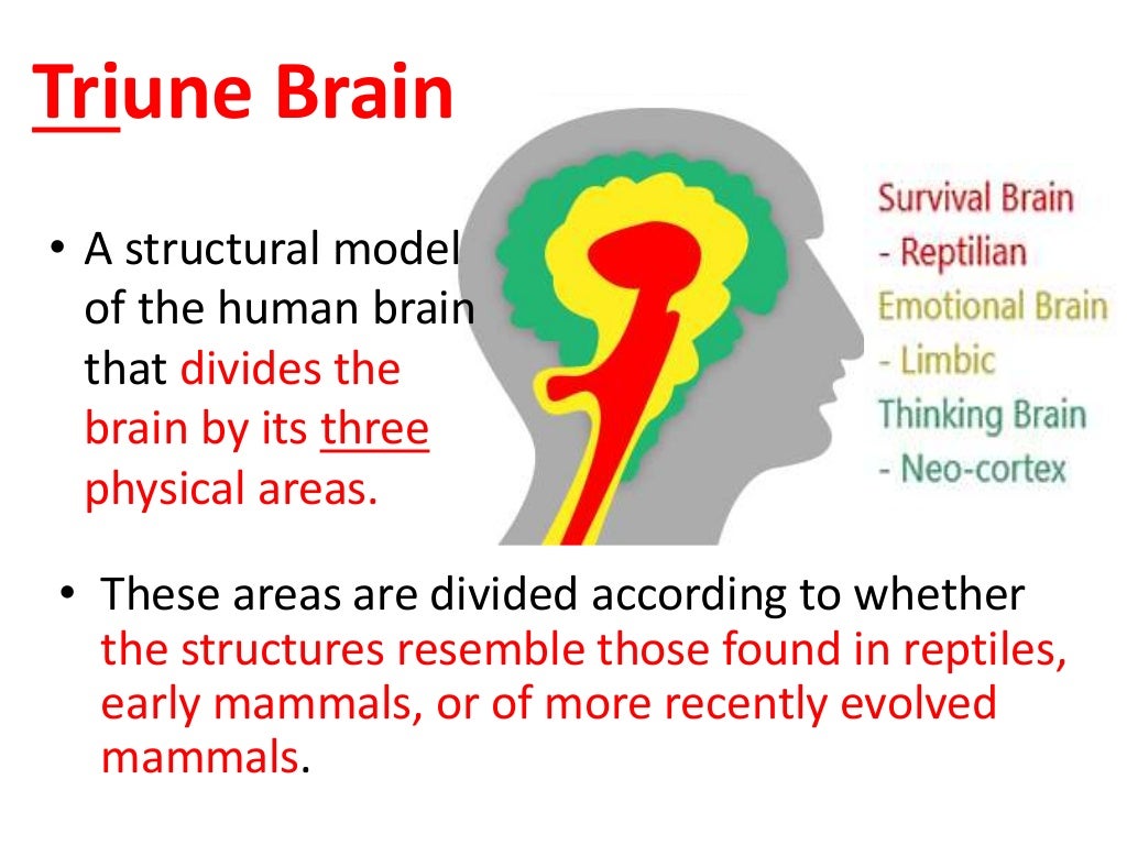 the introduction of brain Abstract neural engineering technologies such as implanted deep brain stimulators and brain-computer interfaces represent exciting and potentially transformative tools for improving human health and well-being. the introduction of brain Abstract neural engineering technologies such as implanted deep brain stimulators and brain-computer interfaces represent exciting and potentially transformative tools for improving human health and well-being.