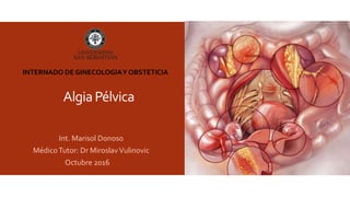 AlgiaPélvica
Int. Marisol Donoso
MédicoTutor: Dr MiroslavVulinovic
Octubre 2016
INTERNADO DE GINECOLOGIAY OBSTETICIA
 
