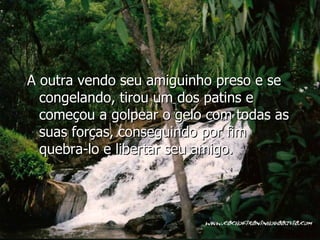 A outra vendo seu amiguinho preso e se congelando, tirou um dos patins e começou a golpear o gelo com todas as suas forças, conseguindo por fim quebra-lo e libertar seu amigo. 