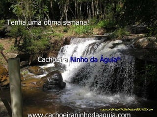 Tenha uma ótima semana! Cachoeira  Ninho da Águia ® www.cachoeiraninhodaaguia.com 