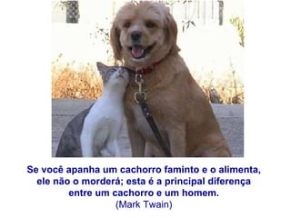 Se você apanha um cachorro faminto e o alimenta,  ele não o morderá; esta é a principal diferença  entre um cachorro e um homem.  (Mark Twain)  