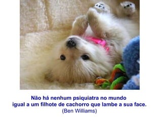 Não há nenhum psiquiatra no mundo    igual a um filhote de cachorro que lambe a sua face.  (Ben Williams)  