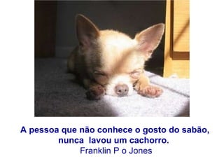 A pessoa que não conhece o gosto do sabão,  nunca  lavou um cachorro.    Franklin P o Jones 