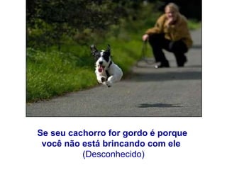 Se seu cachorro for gordo é porque  você não está brincando com ele   (Desconhecido) 