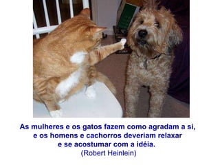 As mulheres e os gatos fazem como agradam a si,  e os homens e cachorros deveriam relaxar  e se acostumar com a idéia.    (Robert Heinlein) 