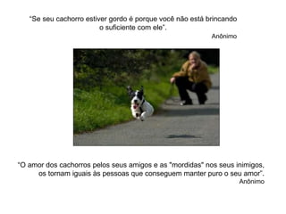 “Se seu cachorro estiver gordo é porque você não está brincando  o suficiente com ele”.  Anônimo “O amor dos cachorros pelos seus amigos e as "mordidas" nos seus inimigos, os tornam iguais às pessoas que conseguem manter puro o seu amor”. Anônimo 