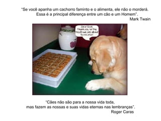 “ Se você apanha um cachorro faminto e o alimenta, ele não o morderá.     Essa é a principal diferença entre um cão e um Homem”. Mark Twain   “Cães não são para a nossa vida toda,  mas fazem as nossas e suas vidas eternas nas lembranças”. Roger Caras  