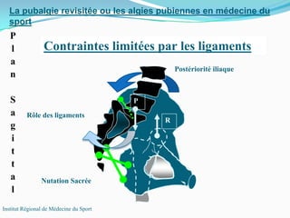 P
l
a
n
S
a
g
i
t
t
a
l
La pubalgie revisitée ou les algies pubiennes en médecine du
sport
Institut Régional de Médecine du Sport
Postériorité iliaque
Contraintes limitées par les ligaments
R
P
Rôle des ligaments
Nutation Sacrée
 