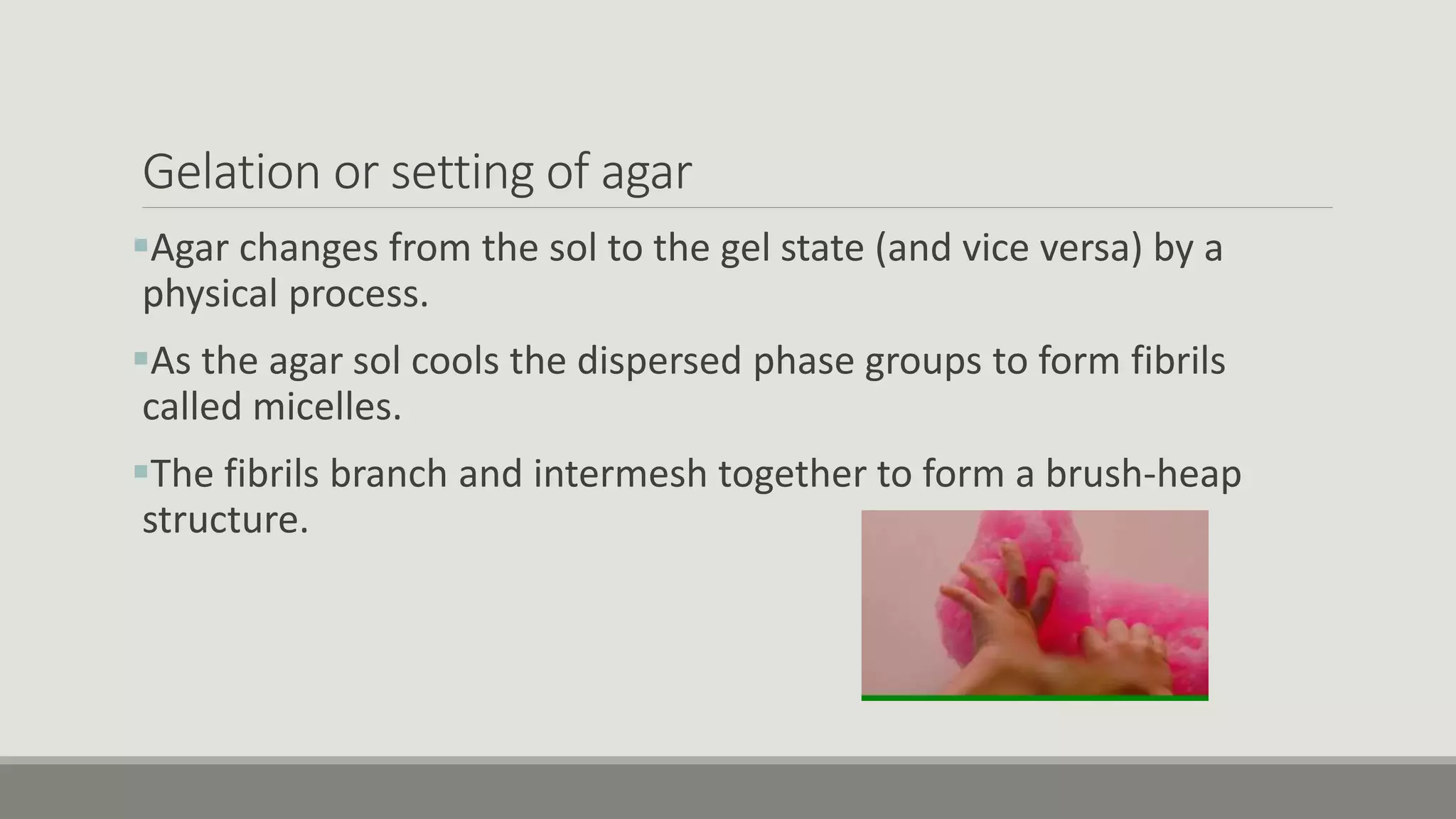 Gelation or setting of agar
Agar changes from the sol to the gel state (and vice versa) by a
physical process.
As the agar sol cools the dispersed phase groups to form fibrils
called micelles.
The fibrils branch and intermesh together to form a brush-heap
structure.
 