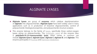 ALGINATE LYASES
 Alginate lyases are group of enzymes which catalyze depolymerization
of alginate into oligosaccharides. Alginate lyase have been widely used in many
applications such as in production of bioactive oligosaccharides, control of
polysaccharide rheological properties, and polysaccharide structure analysis.
 This enzyme belongs to the family of lyases, specifically those carbon-oxygen
lyases acting on polysaccharides. The systematic name of this enzyme class
is poly(beta-D-1,4-mannuronide) lyase. Other names in common use
include alginate lyase I, alginate lyase, alginase I, alginase II, and alginase. This
enzyme participates in fructose and mannose metabolism.
 