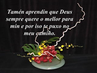 Tamén aprendín que DeusTamén aprendín que Deus
sempre quere o mellor parasempre quere o mellor para
min e por iso te puxo nomin e por iso te puxo no
meu camiño.meu camiño.
 