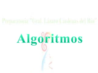 Algoritmos 