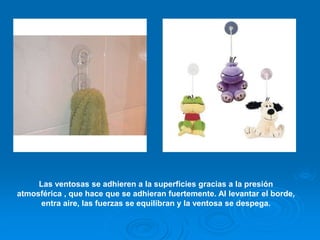 Las ventosas se adhieren a la superficies gracias a la presión
atmosférica , que hace que se adhieran fuertemente. Al levantar el borde,
entra aire, las fuerzas se equilibran y la ventosa se despega.
 