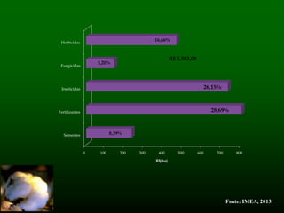 0 100 200 300 400 500 600 700 800
Sementes
Fertilizantes
Inseticidas
Fungicidas
Herbicidas
R$/ha)
8,39%
28,69%
26,15%
5,20%
16,66%
R$ 5.303,08
Fonte: IMEA, 2013
 