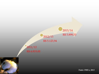 Fonte: IMEA, 2013
2011/12
R$ 4.819,00
2012/13
R$ 5.123,94
2013/14
R$ 5.899,53
 